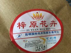 -昆明国际花卉拍卖交易中心