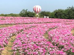 -歌斐颂巧克力小镇