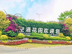 -空港花田景区