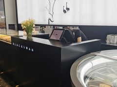 -BLACKSWAN黑天鹅(环球店)