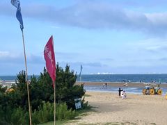 -巧克力渔家.小船海鲜家常菜(万平口店)