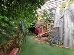 -呀路古热带植物园