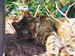 -苏州河梦清园环保主题公园