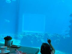 -涛·海底餐厅·美人鱼·自助餐·海底隧道(三亚海棠湾洲际度假酒店)