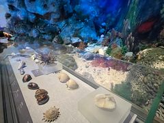 -中国（海南）南海博物馆