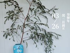 -莱蔻·圣灸堂·推拿艾灸(天山店)