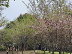 -南山风景名胜区