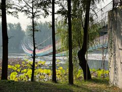 -微山湖红荷湿地景区