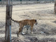 -秦皇岛野生动物园
