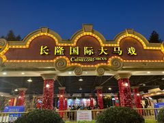 -广州长隆国际大马戏