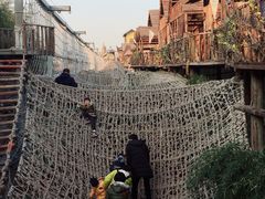 -呀路古热带植物园