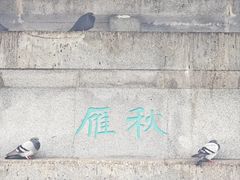 -园圃街雀鸟花园