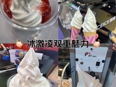 -萨朗刀克冰淇淋雪花凉(植物园店)