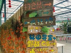 -麻涌飞鸭开心农场