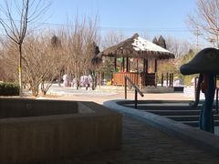 -南宫温泉水世界