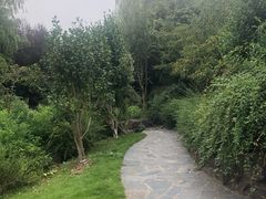 -花溪公园