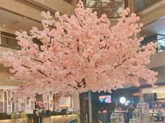 -银星皇冠假日酒店美食阁