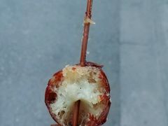 糖油果子-邓记新一代糖油果子(四川煤管局供销公司职工宿舍店)