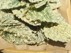 -南山民肴·乡土徽菜(豪辰俪景店)