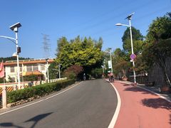 -仙岳公园