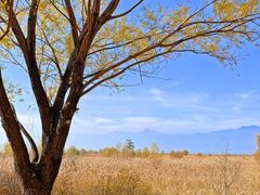 -野鸭湖国家湿地公园