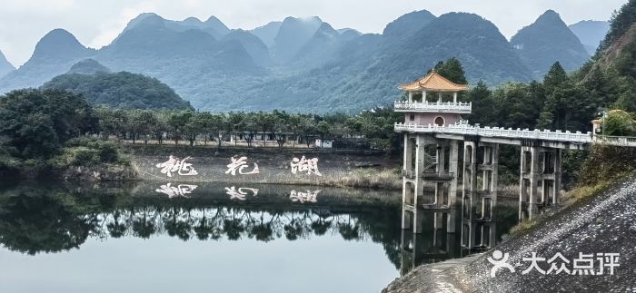 南国桃园旅游度假区图片