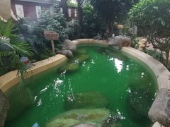 -稷泽·海丽宾雅温泉度假酒店