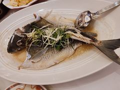 -稻香酒家·35年老字号(侨光店)