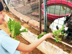 -昆明春城湖畔度假村