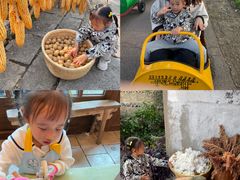 -乌村