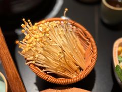 -季季山·云南野生菌火锅(上海首店)