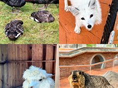 -南戴河国际娱乐中心