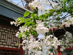 -北京鲁迅博物馆(北京新文化运动纪念馆鲁博馆区)
