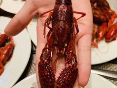 -威斯汀舞台餐厅