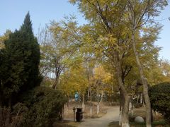 -前关湿地公园