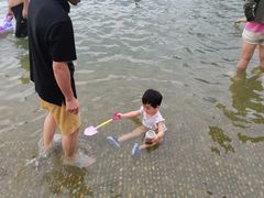 -天鹅湖体育公园