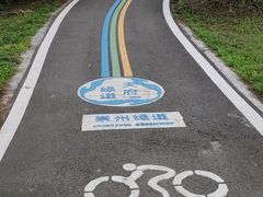 -桤木河湿地公园