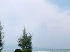-杨梅坑