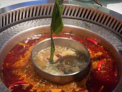 -晓宇重庆火锅(赛格国际购物中心店)