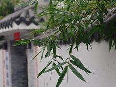 -三溪村