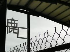 -鹿境梅花鹿生态园区
