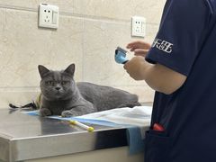 -仁华宠物医院(青羊店)