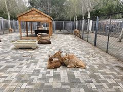 -长白岛森林公园