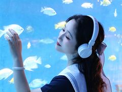 -合肥海洋世界