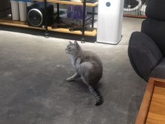 -脉冲品质汽美·贴膜(闵行店)