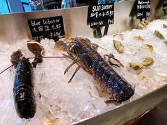 -Oyster Talks 四度蚝法餐厅