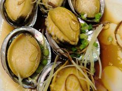 小鲍鱼-旺东生酒楼·宴会团餐(莲塘店)