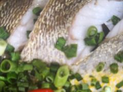 -驻海渔市(置信店)