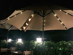 -Sirena海妖日咖夜酒