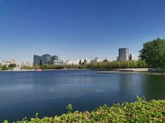 -莲花池公园
